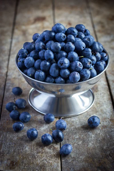 Blueberries in a metal bowl — Stock Photo, Image