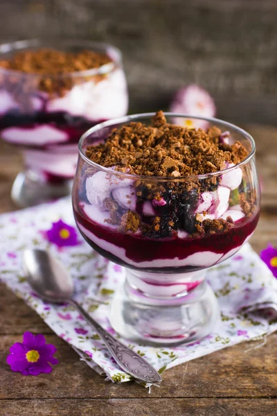 Hemgjord dessert med kex crumb, grädde och blueberru jam — Stockfoto