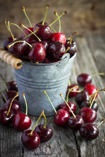 Cherry — Stock Photo, Image