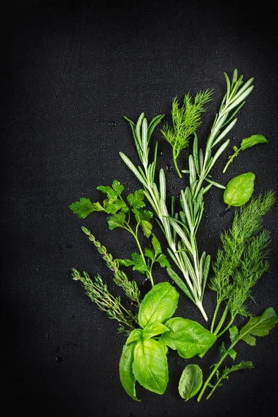 Herbal aromatik segar dengan air tetes pada latar belakang hitam, ke — Stok Foto