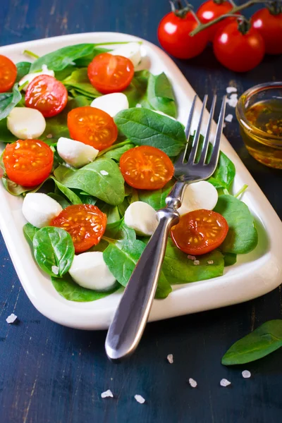 Ensalada con tomates cherry, espinacas y mozzarella — Foto de Stock