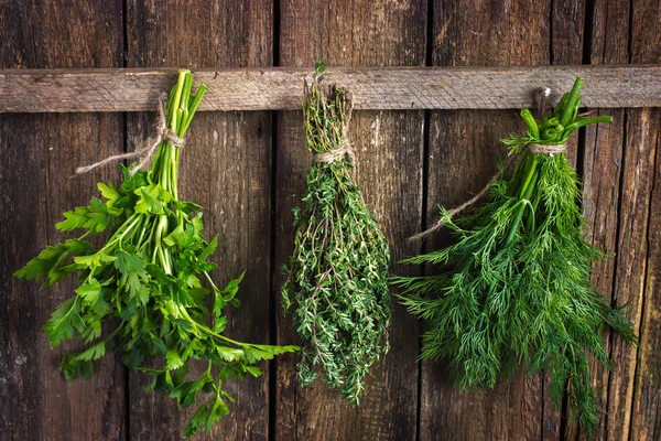 Bunch of thyme, dill and parsley hanging  on old wooden board — Stock Photo, Image