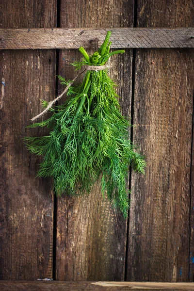 Dill bunch tied with rope — Stock Photo, Image