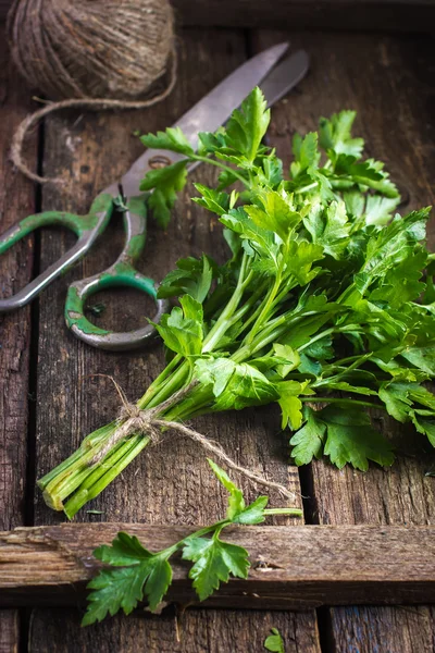Parsley bunch tied with rope — Stock Photo, Image