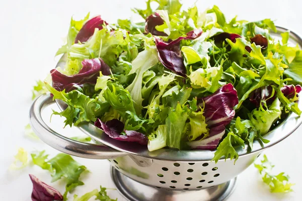 Ensalada verde fresca wix en colador de metal sobre fondo blanco — Foto de Stock