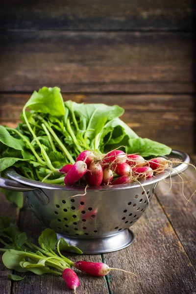 Fresh organic radish in colander — Stock Photo, Image