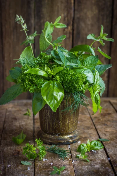 Aromás fűszernövények. Bazsalikom, menta, petrezselyem, kapor és melissa. — Stock Fotó
