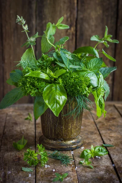 Hierbas aromáticas. Albahaca, menta, perejil, eneldo y melisa . —  Fotos de Stock