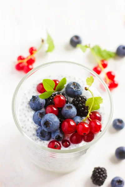 Chia frön pudding med färska bär — Stockfoto