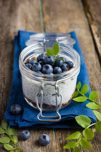 Pudding  with chia seeds, granola andblueberry — Stock Photo, Image
