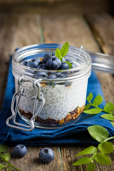 Pudim com sementes de chia, granola e mirtilo — Fotografia de Stock