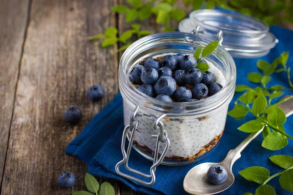 Pudín con semillas de chía, granola y arándanos — Foto de Stock