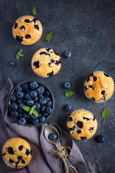 Blueberry muffins and fresh berries — Stock Photo, Image