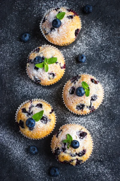 Blueberry muffins with powdered sugar — Stock Photo, Image