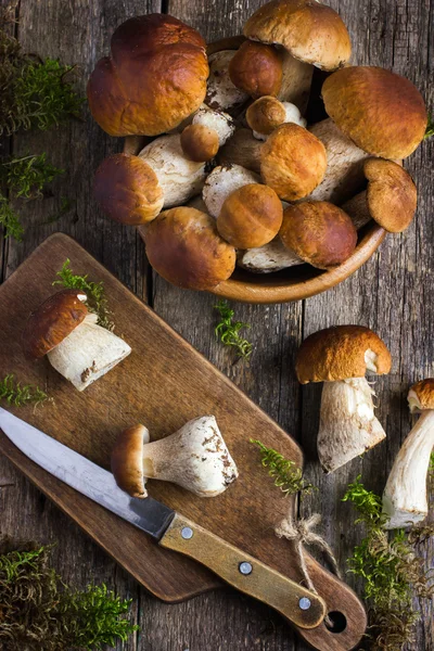 Boleto cogumelos no fundo rústico — Fotografia de Stock