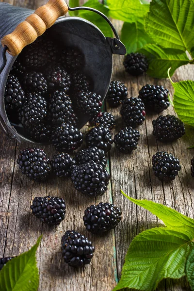 Fresh blackberry on wooden background — Stock Photo, Image