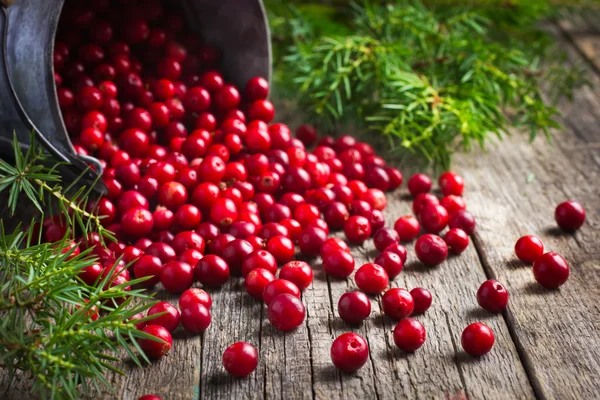Fresh cranberry (cowberry) on wooden background — Stock Photo, Image