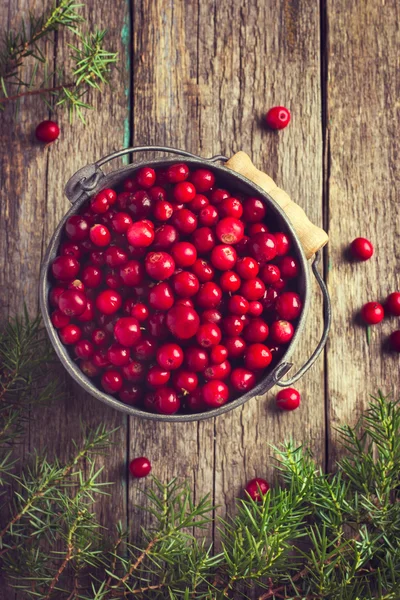 Fresh cranberry (cowberry) on wooden background — Stock Photo, Image