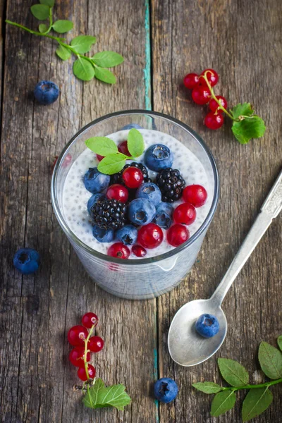 Naturell yoghurt med chia frön och färska bär — Stockfoto