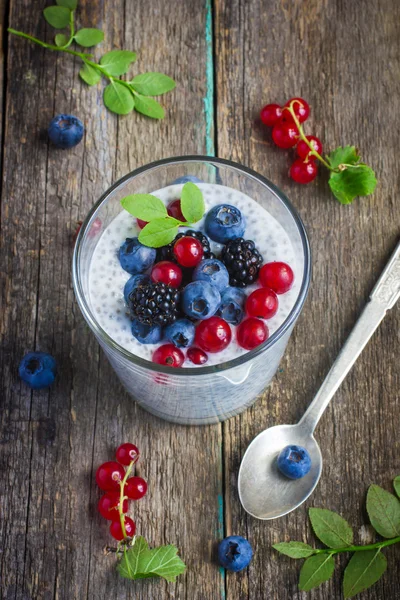 Iogurte natural com sementes de chia e bagas frescas — Fotografia de Stock