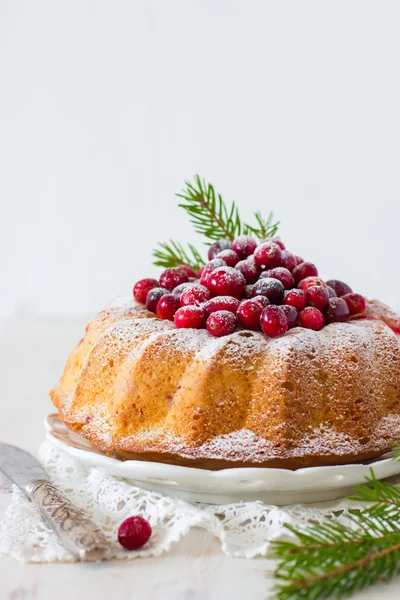 Brusinkový dort s čerstvým berry — Stock fotografie