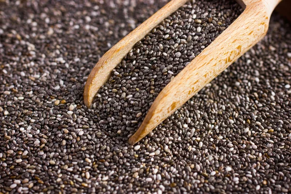 Kepçe içinde organik chia tohum — Stok fotoğraf
