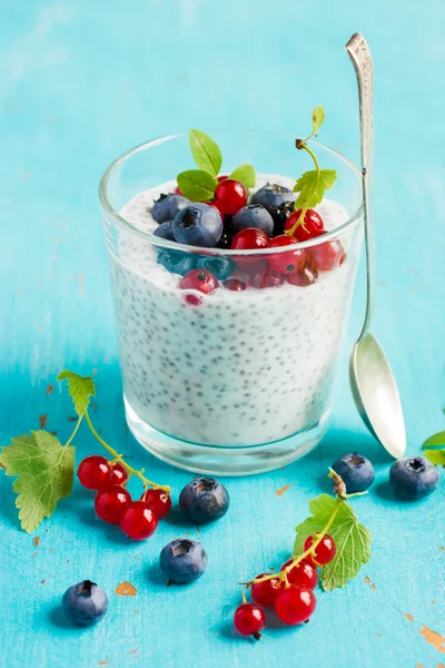 Chia seeds pudding with  fresh berries — Stock Photo, Image