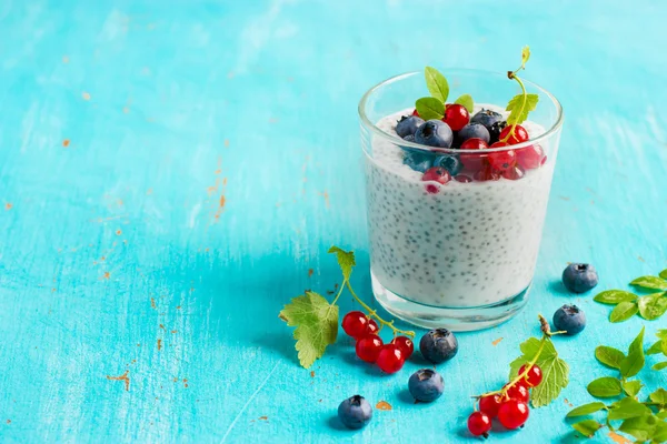 Puding biji chia dengan buah berry segar — Stok Foto