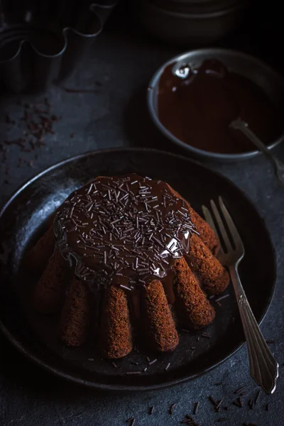 초콜릿 케이크 장식 초콜릿 글레이즈와 스프링 — 스톡 사진