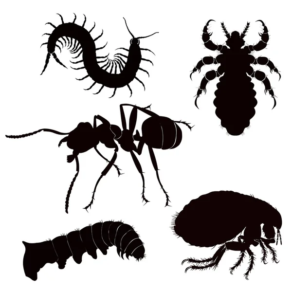 Siyah siluet tehlike böcek — Stok Vektör