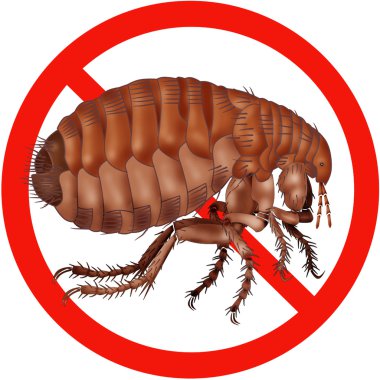 Tehlike böcek yol işareti