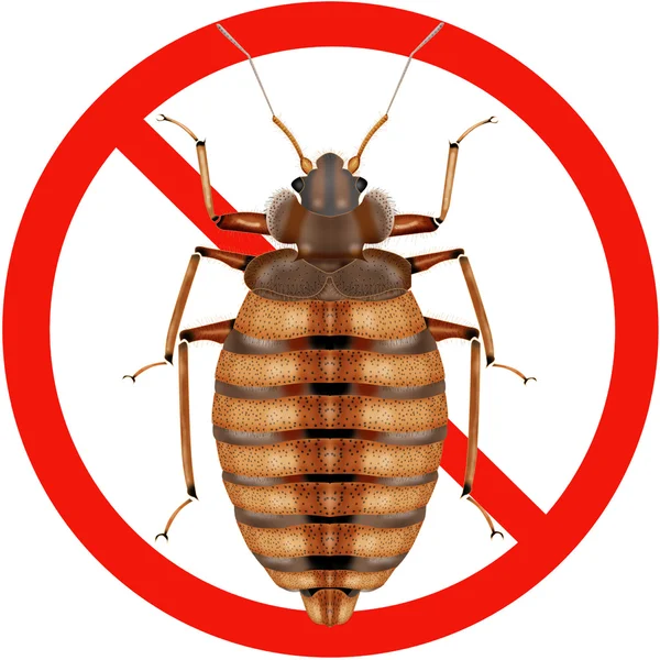 Nebezpečí hmyzu dopravní značka — Stockový vektor