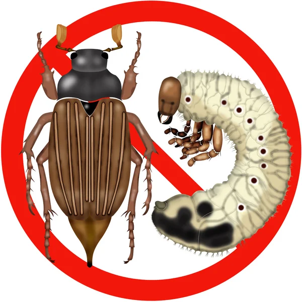 危険昆虫道路標識 — ストックベクタ