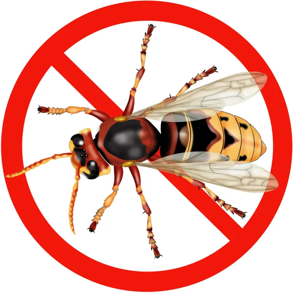 Nebezpečí hmyzu dopravní značka — Stockový vektor