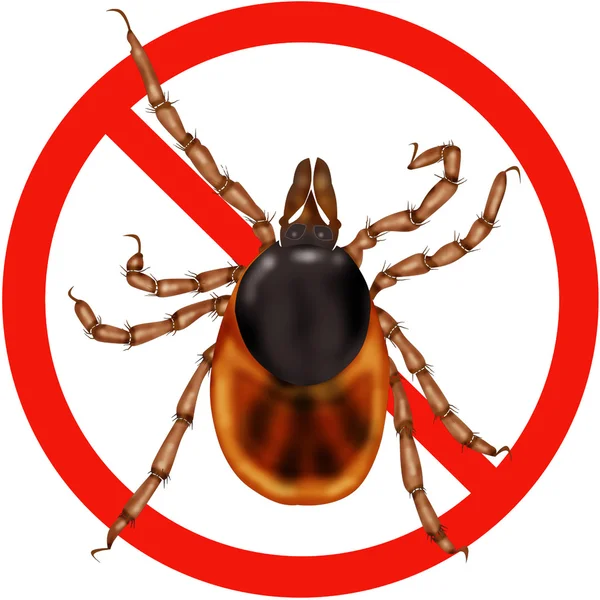 Peligro insecto carretera señal — Vector de stock