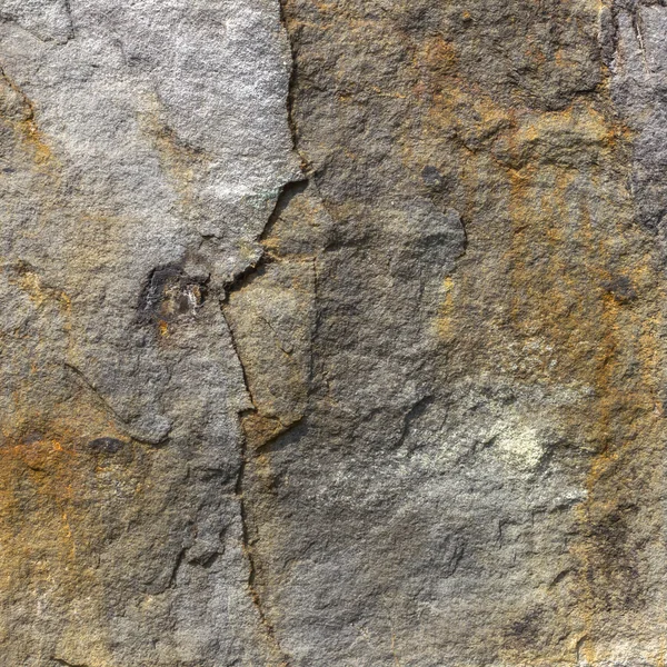 Face into the stone — Stock Photo, Image