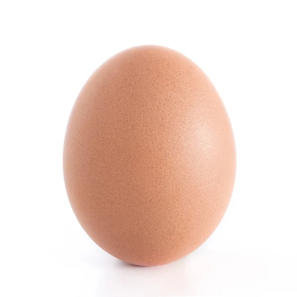 Tek kahverengi tavuk yumurta — Stok fotoğraf