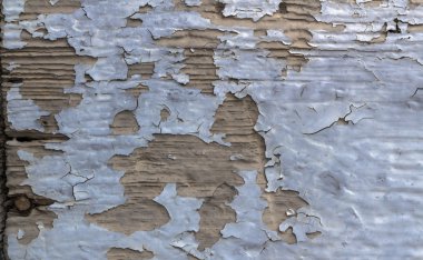 renk-ahşap doku kabuğu