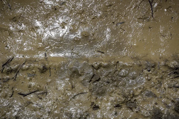 Doku çamur. Islak toprak. 