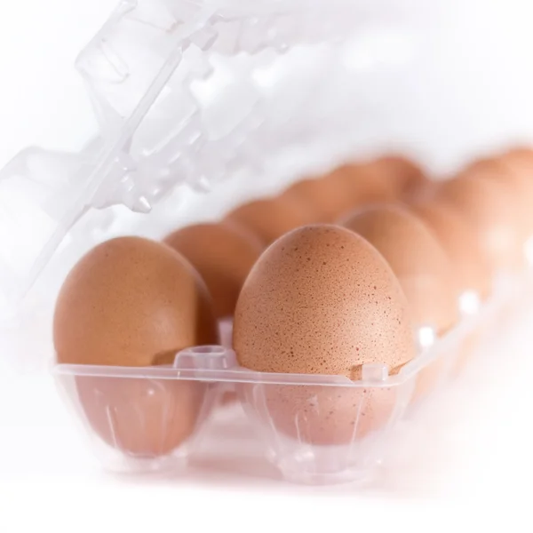 Ovos de galinha em uma bandeja plástica — Fotografia de Stock