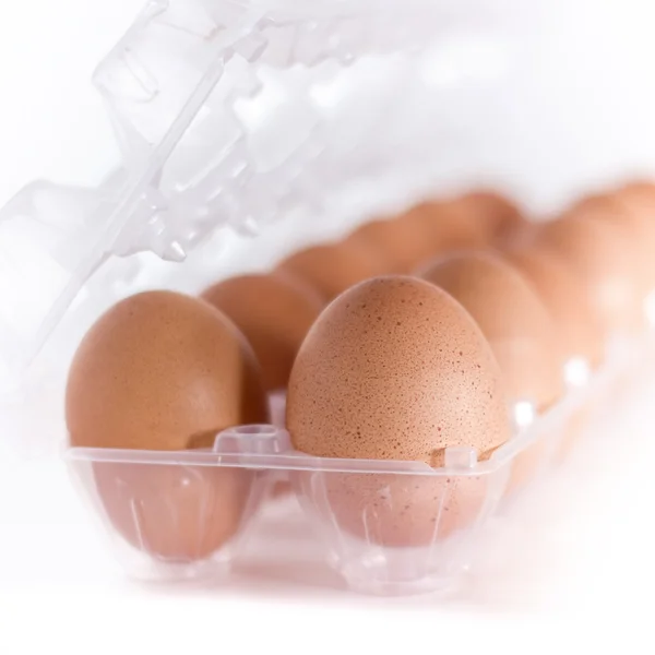 Oeufs de poulet dans un plateau en plastique — Photo