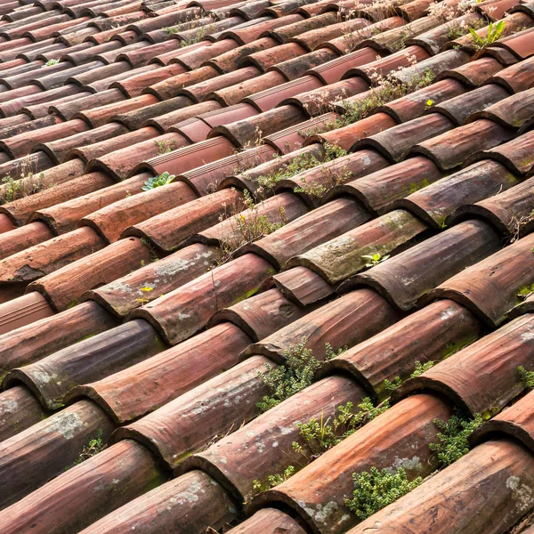 Old roofing tiles — Stock Photo, Image