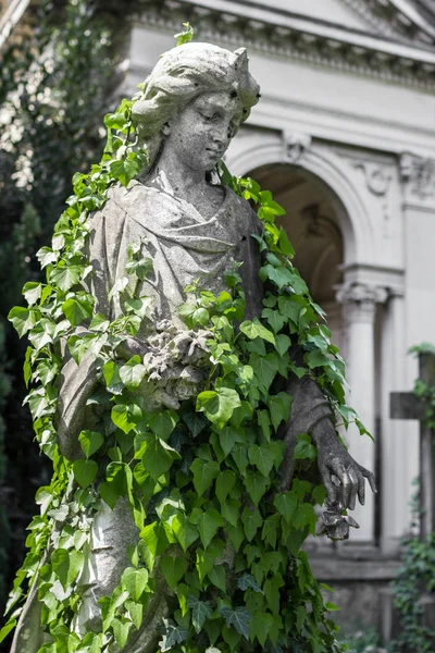 Ivy ile kaplı heykeli