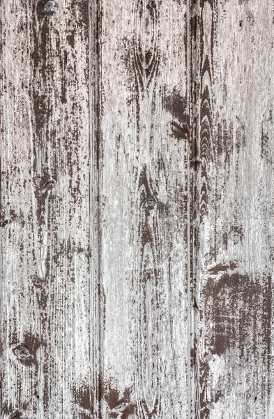 Texture di legno bianco — Foto Stock