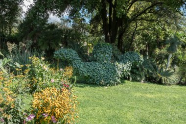 Andr Heller Botanik Bahçesi. Gardone Riviera BS, ITALY - 25 Ağustos 2020