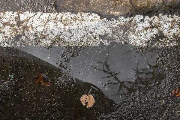 Depois da chuva — Fotografia de Stock