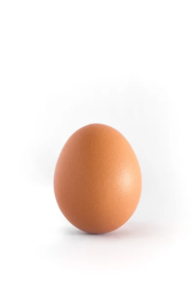 Huevo sobre fondo blanco —  Fotos de Stock