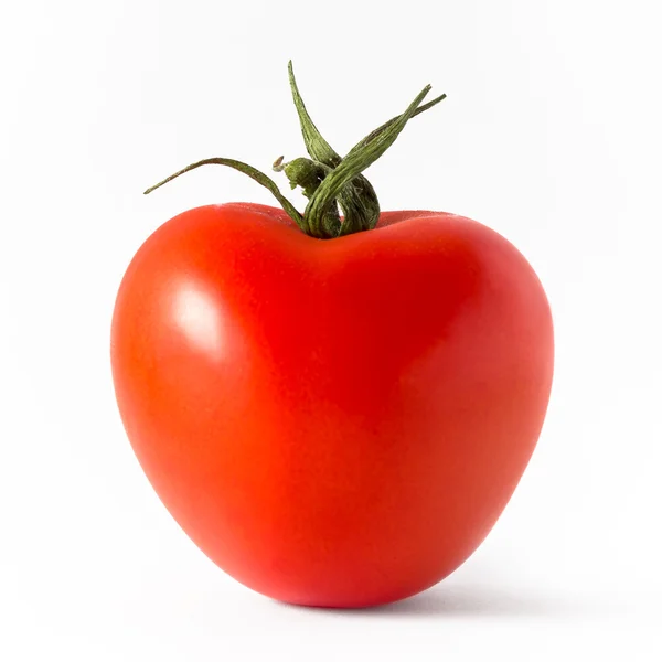 Isolierte Tomate — Stockfoto