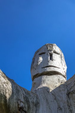 Oyulmuş ağaç gövdesi