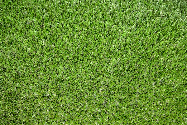 Background grass — Stock Photo, Image